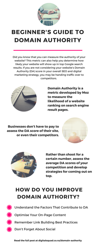BEGINNER'S GUIDE TO DOMAIN AUTHORITY nz